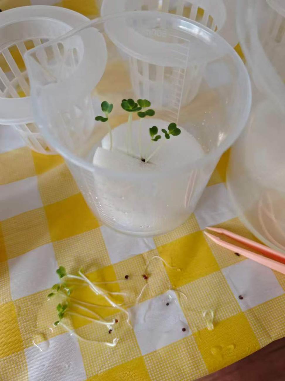 3a6d88bb3bc3c4c1905b260ba7e9767