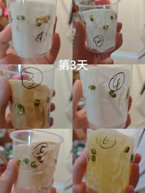 10bade198c586edda48188b5b99c3a91