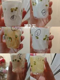 d44fec029cdcae5fadaafd92a3f71c92