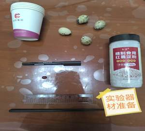 70f2b9b4a9a46089dad329d64d474b9e