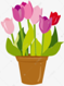 1633673687(1).png