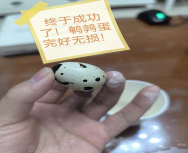 74993e1de9f837cf6f02f6dc85d14706