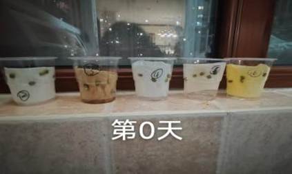 dcea44d5770cc40936b9ccf53f564cc4