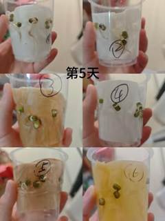 4b0796adfa04ffbb8771581bfad76f78