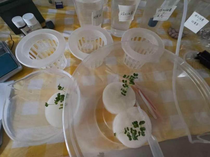 d1e83696f2c695d3dae8a9cadfb947b