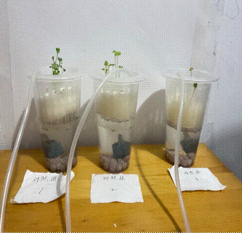 2026-02-27 21:36:38.181000